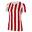 NIKE T-SHIRT DIVISION IV CW3816-104
