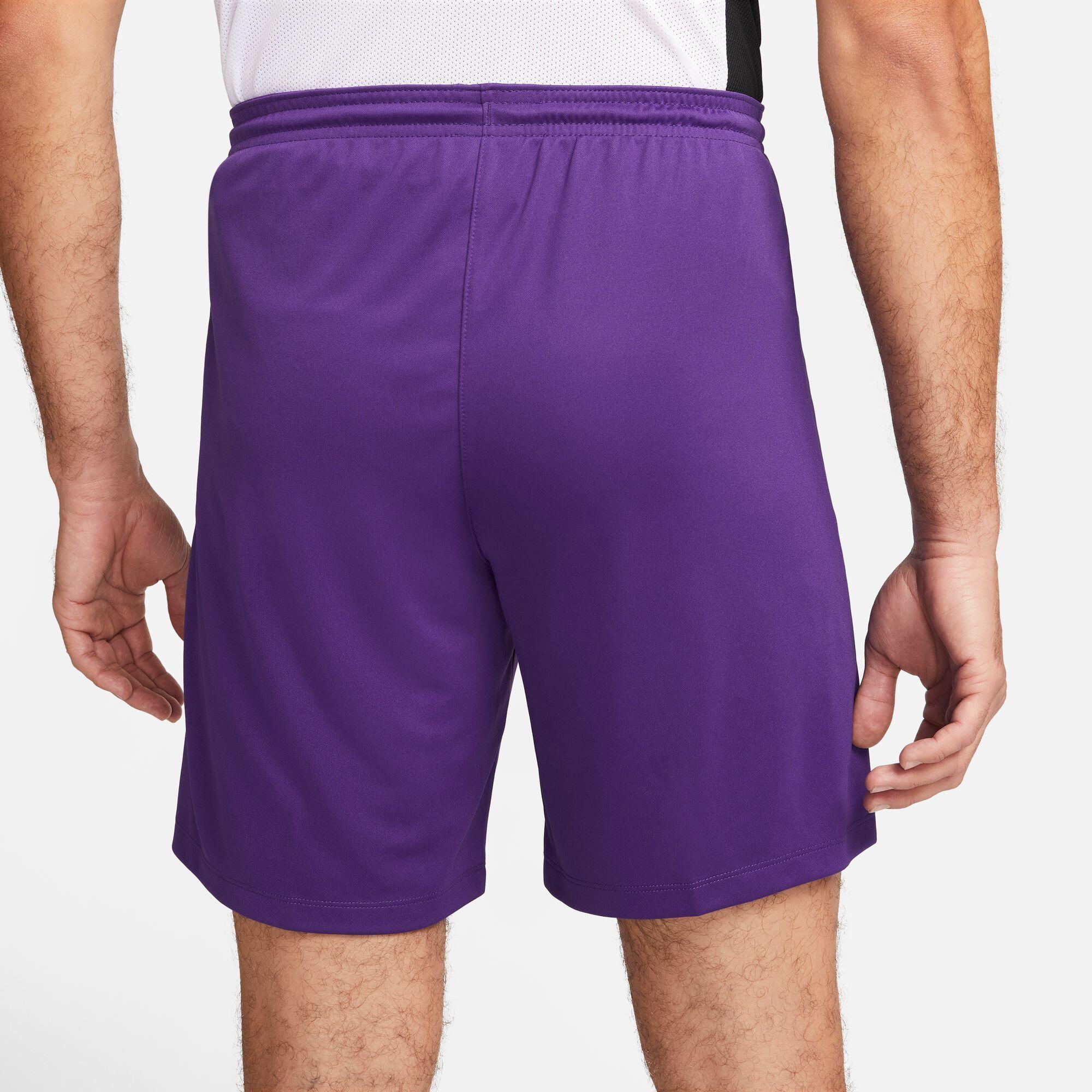 Kort Mannelijk Nike Park III Paars 4/4