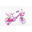 Bicicletă pentru fete SCH Pink Love 14” cu accesorii