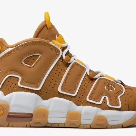 Basketball Shoes - Air More Uptempo