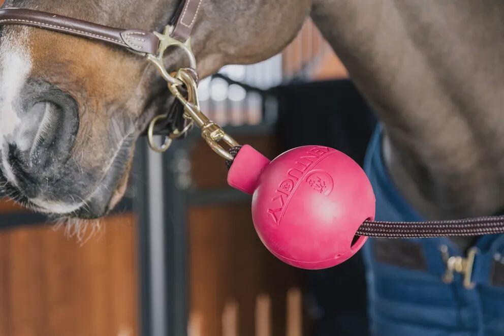 KENTUCKY HORSEWEAR picture