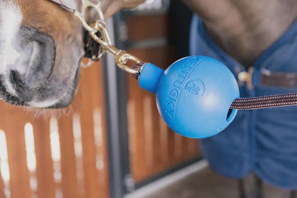 KENTUCKY HORSEWEAR picture