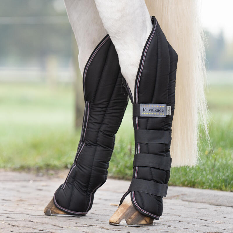 Botas de transporte para caballos Kavalkade (x4) 3/5