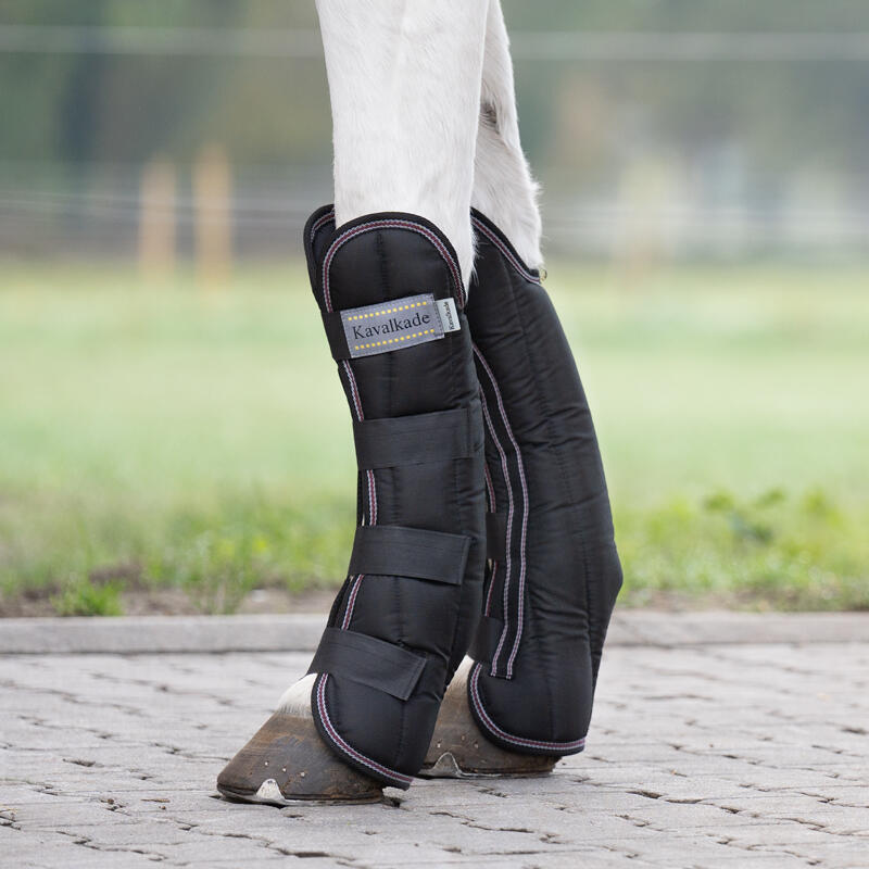 Botas de transporte para caballos Kavalkade (x4) 2/5