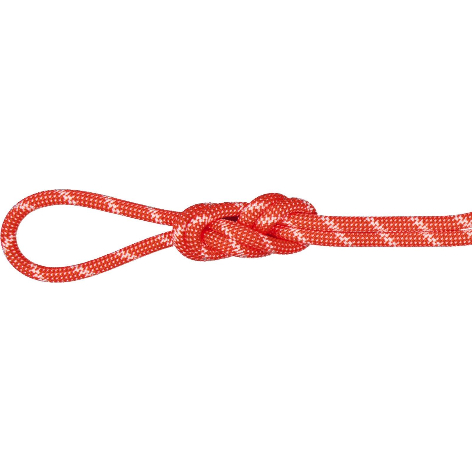 MAMMUT picture