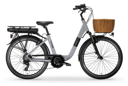 Elektro-Citybike RHEA 26 Zoll, grey