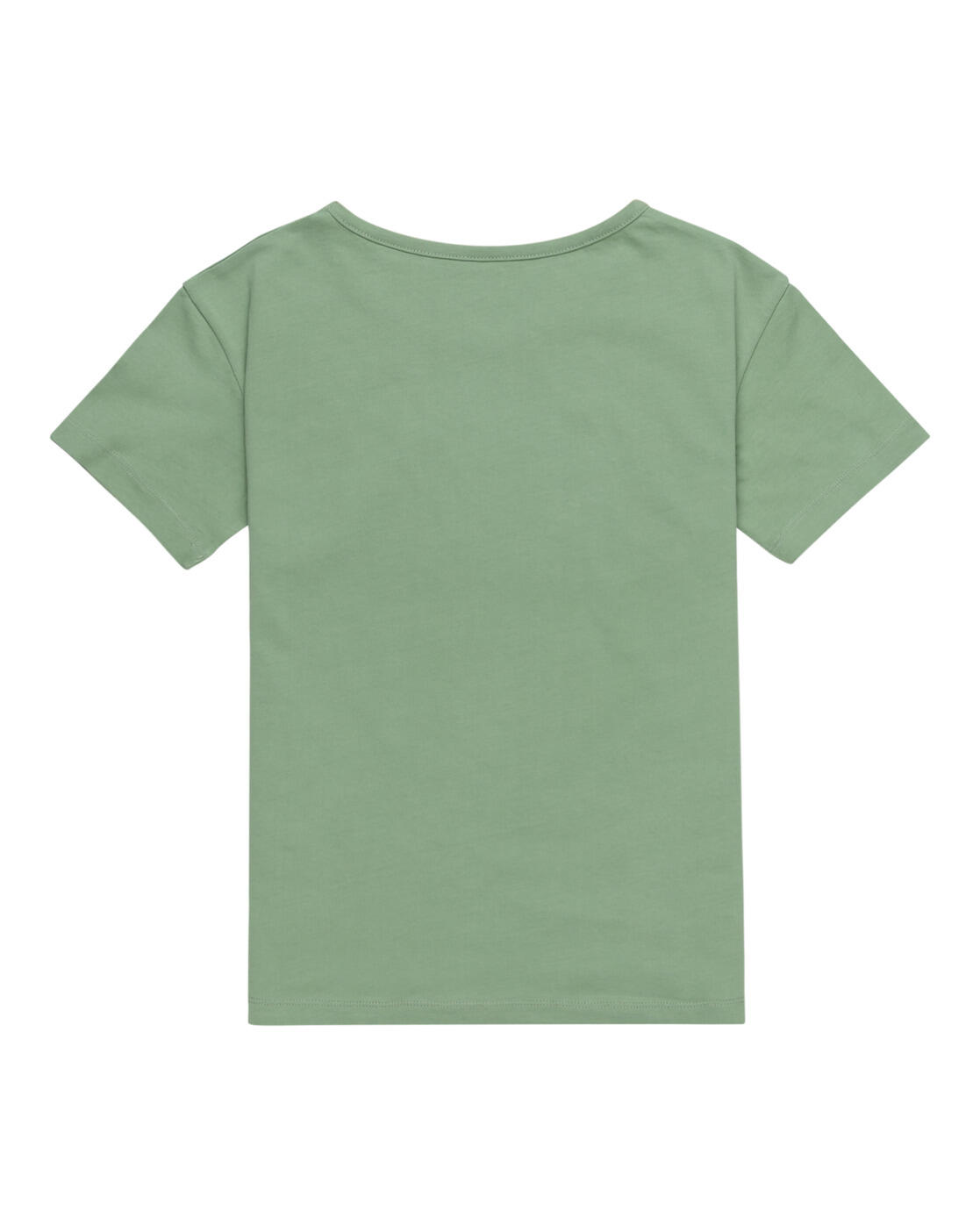 T-shirt Roxy model ERGZT04121-GHZ0 for girls 2/2