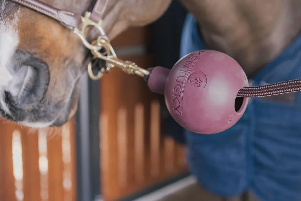 Balle protection d'attache Kentucky 3/7