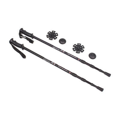 Bastoni da passeggio SCOUT