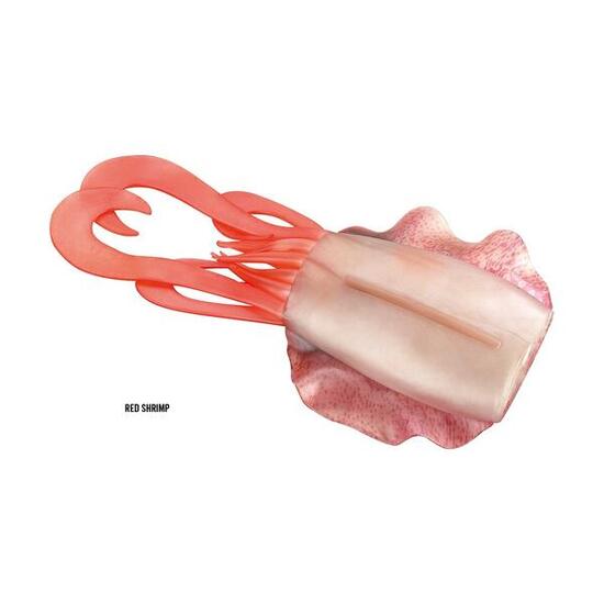 Vertical e Light Jigging AKAMI BODY SEPIADE |GR 80 |COLOR ZEBRA NATURAL