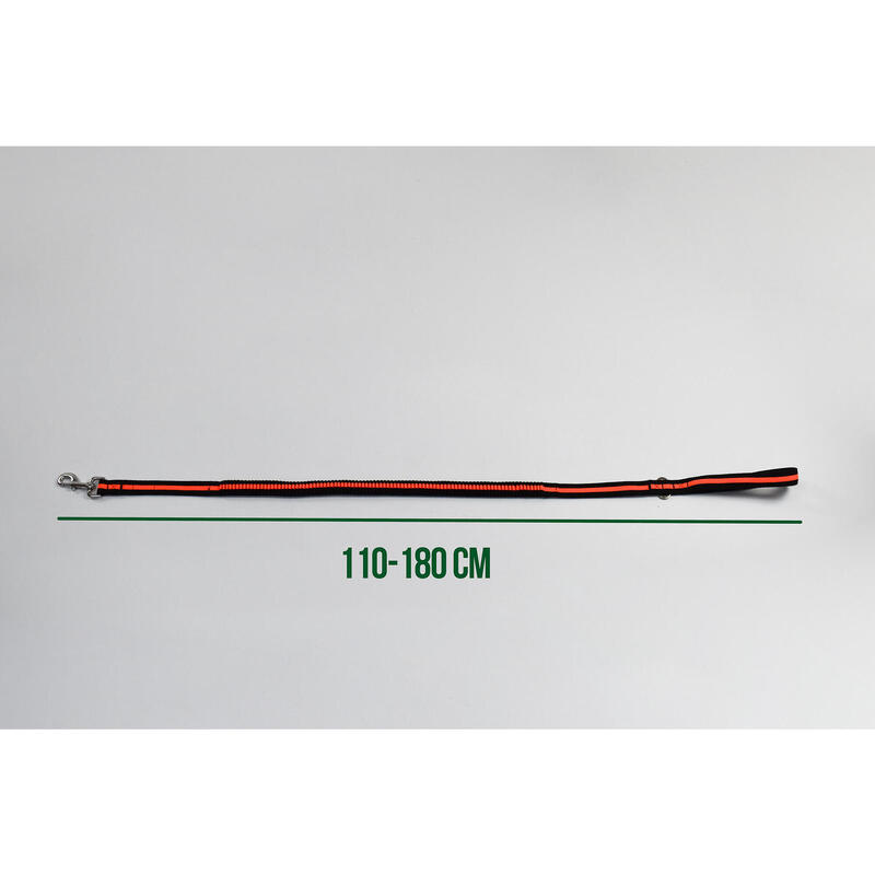 Laisse pour chien avec boucle de ceinture de sécurité