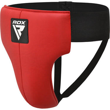 Coquille Rex R1 2/7