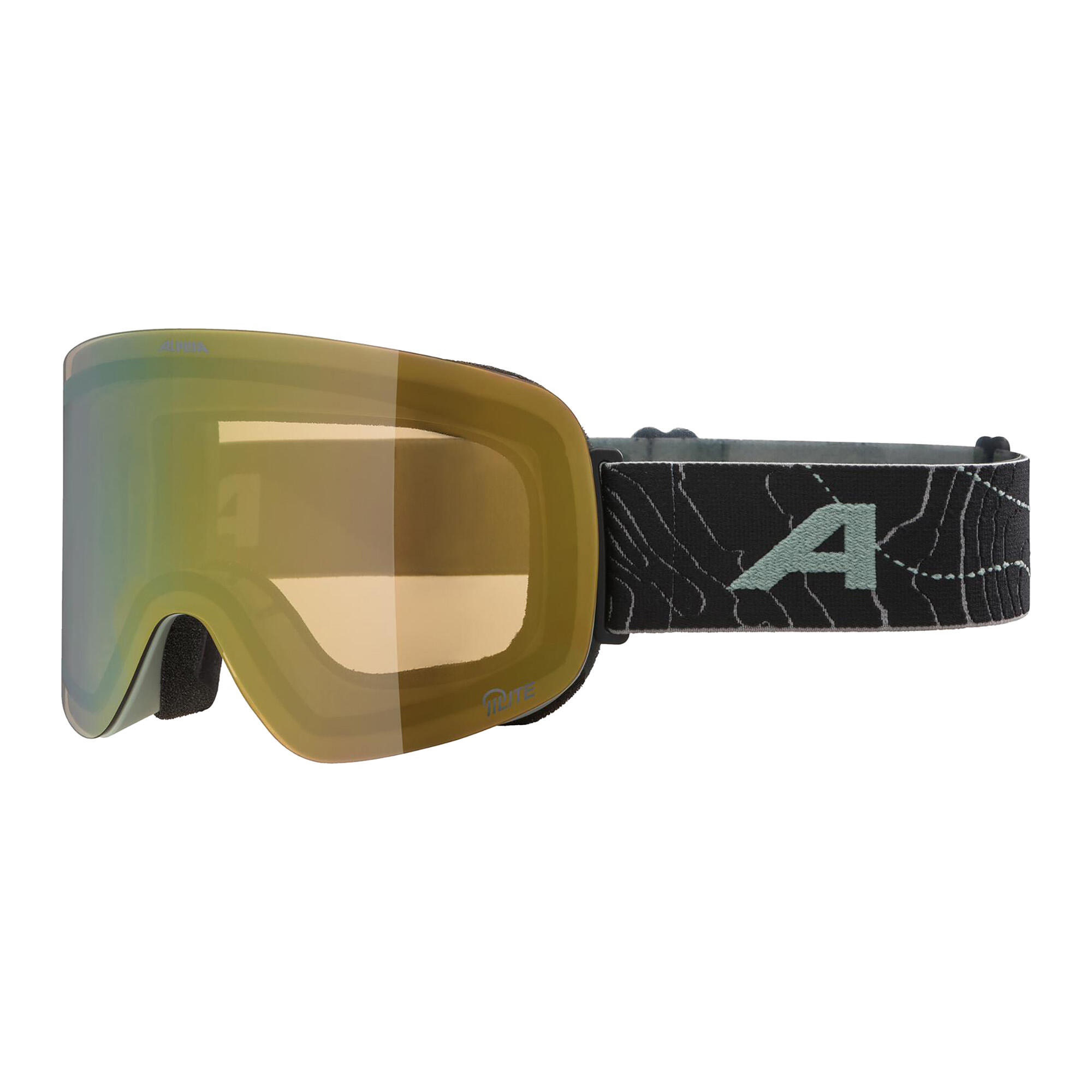 Gogle narciarskie Alpina Penken Q-Lite