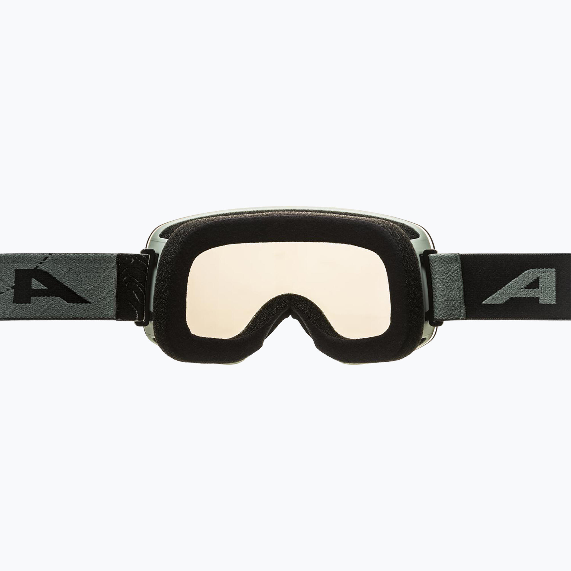 Gogle narciarskie Alpina Penken Q-Lite 3/4