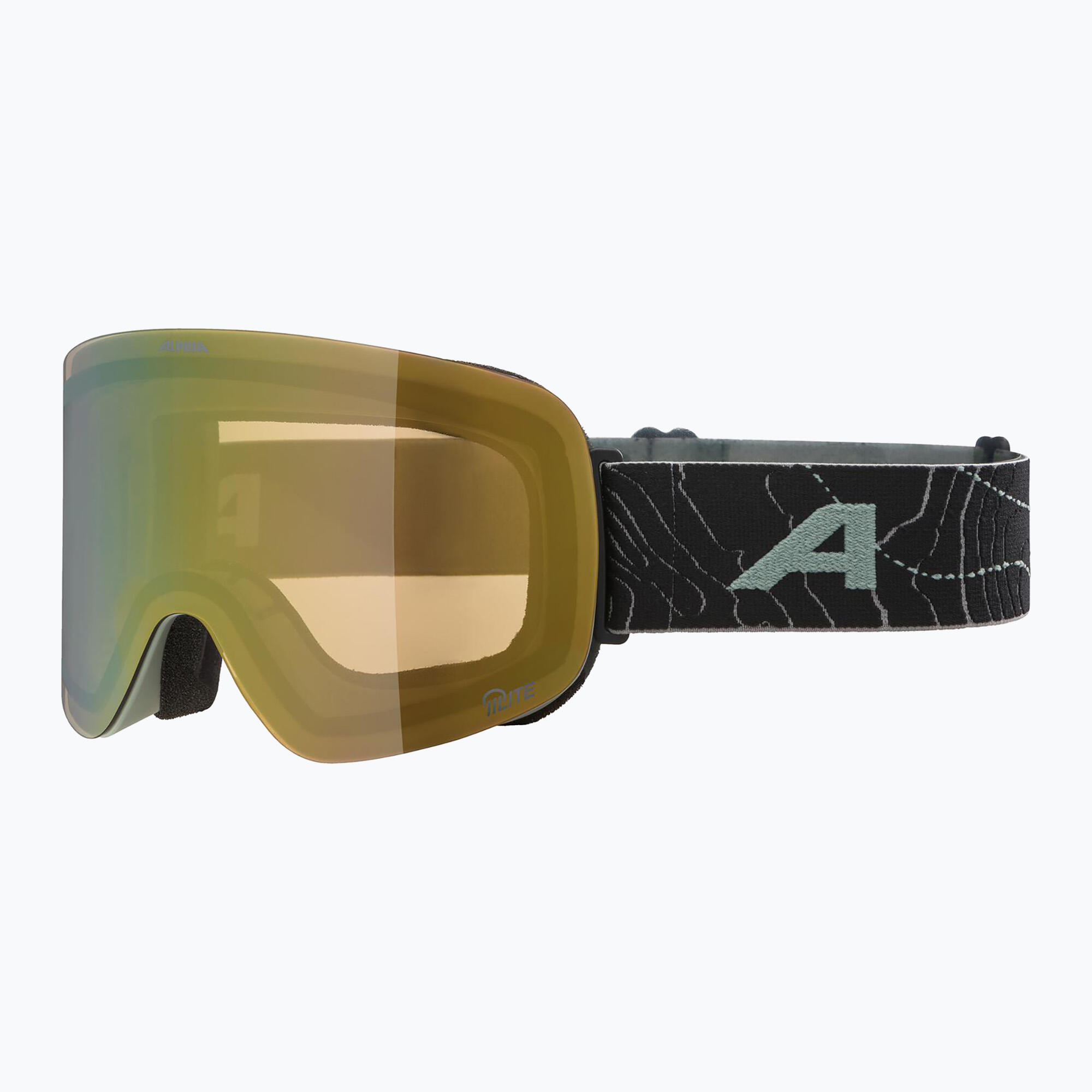 Gogle narciarskie Alpina Penken Q-Lite 4/4