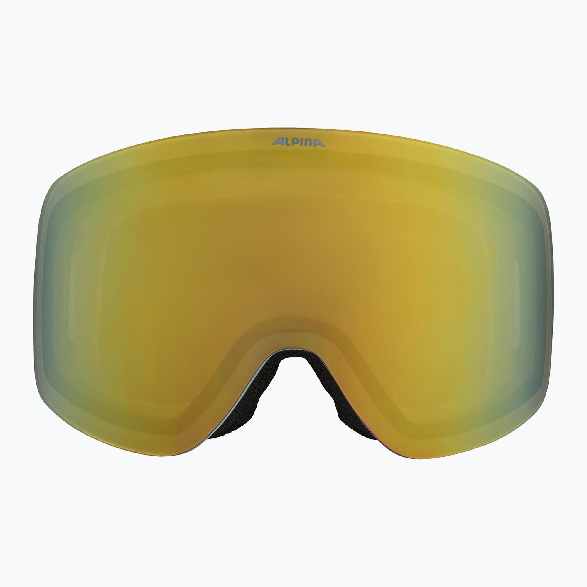 Gogle narciarskie Alpina Penken Q-Lite 2/4