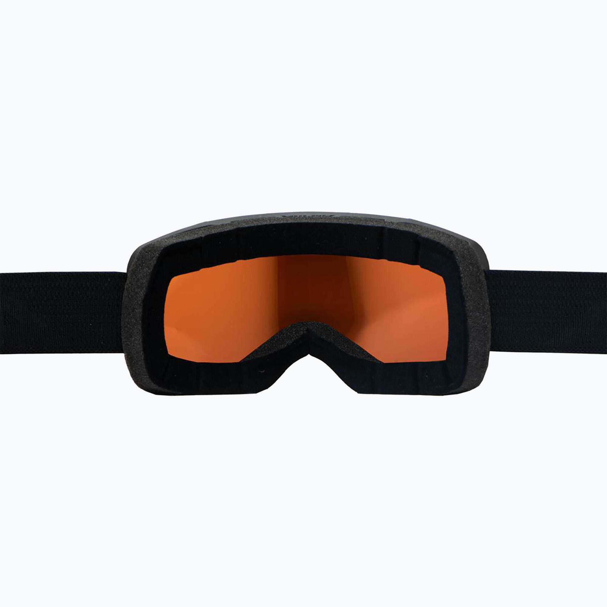 Gogle narciarskie Alpina Taos Q-Lite 3/4