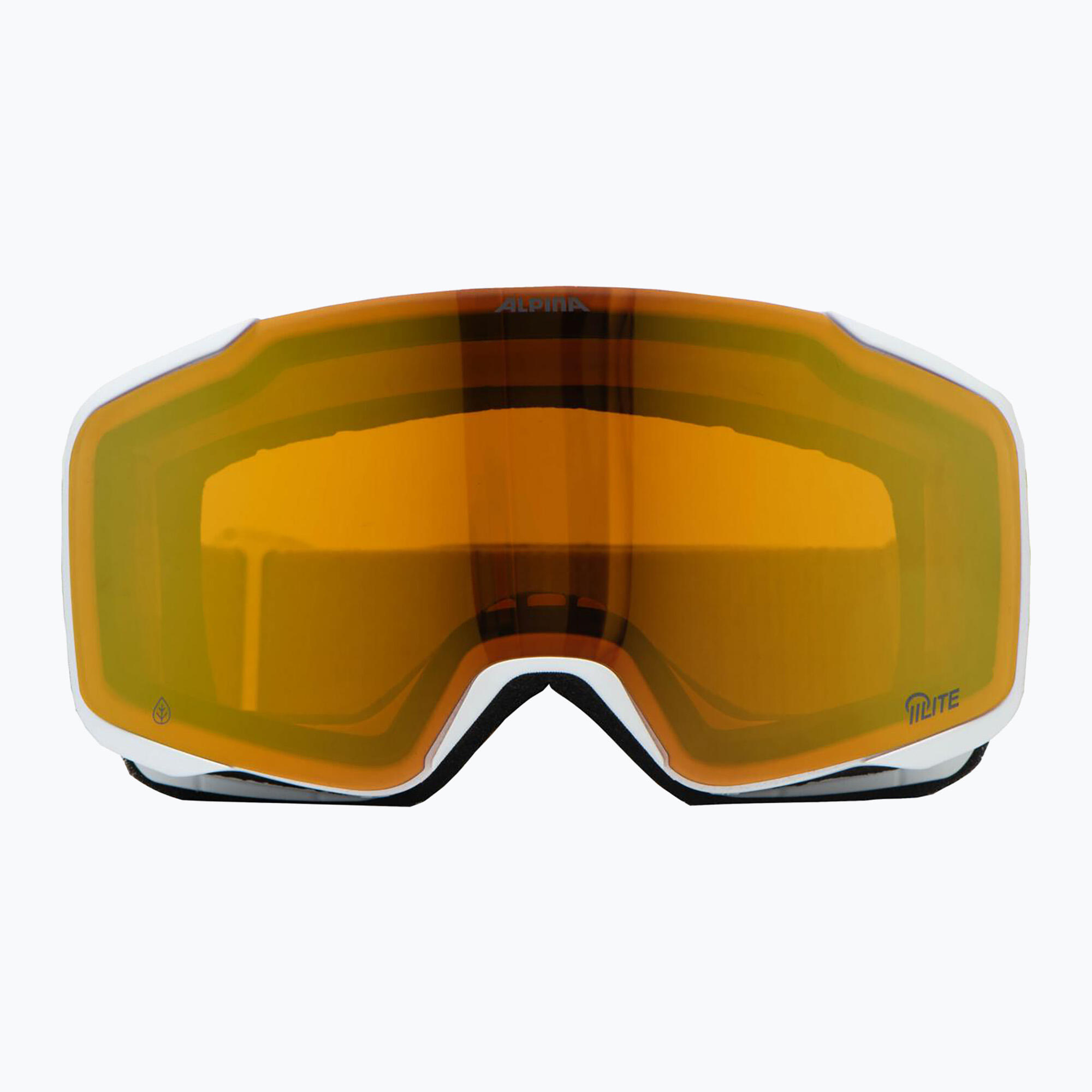 Gogle narciarskie Alpina Taos Q-Lite 2/4