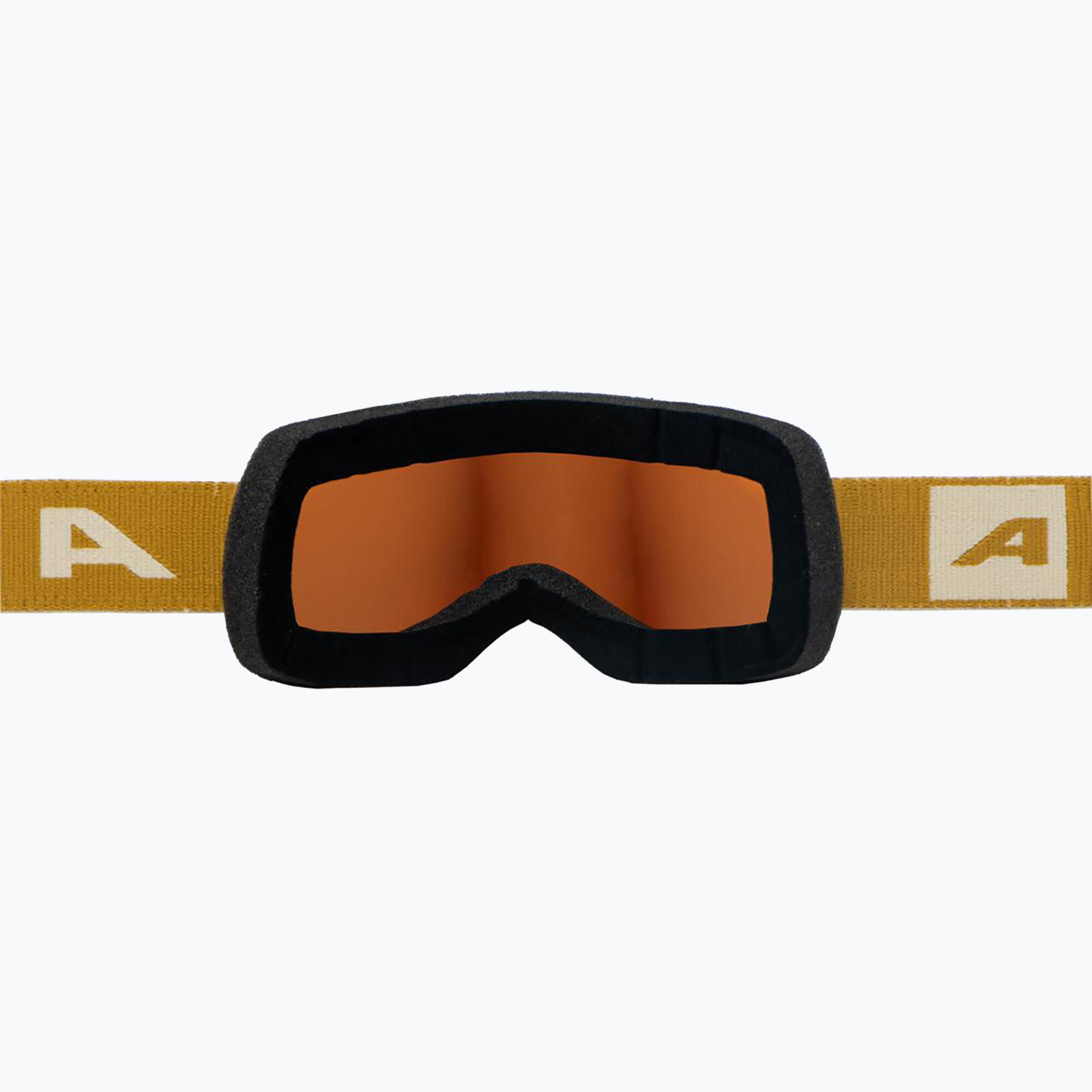 Gogle narciarskie Alpina Taos Q-Lite 3/4