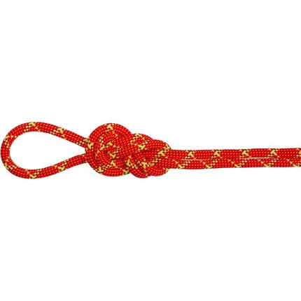 Corde à double 8.0 Alpine Core Protect Dry - MAMMUT