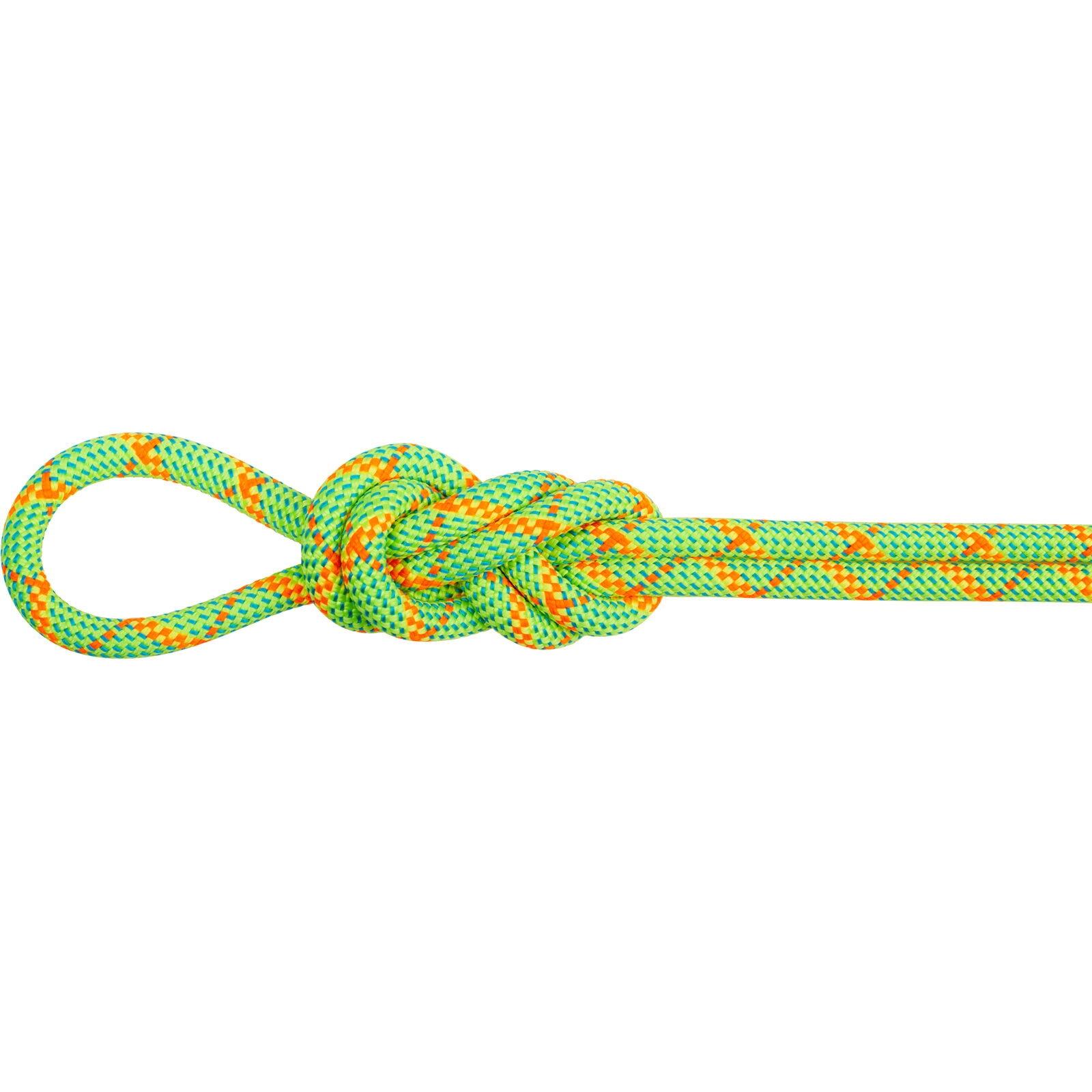 MAMMUT picture