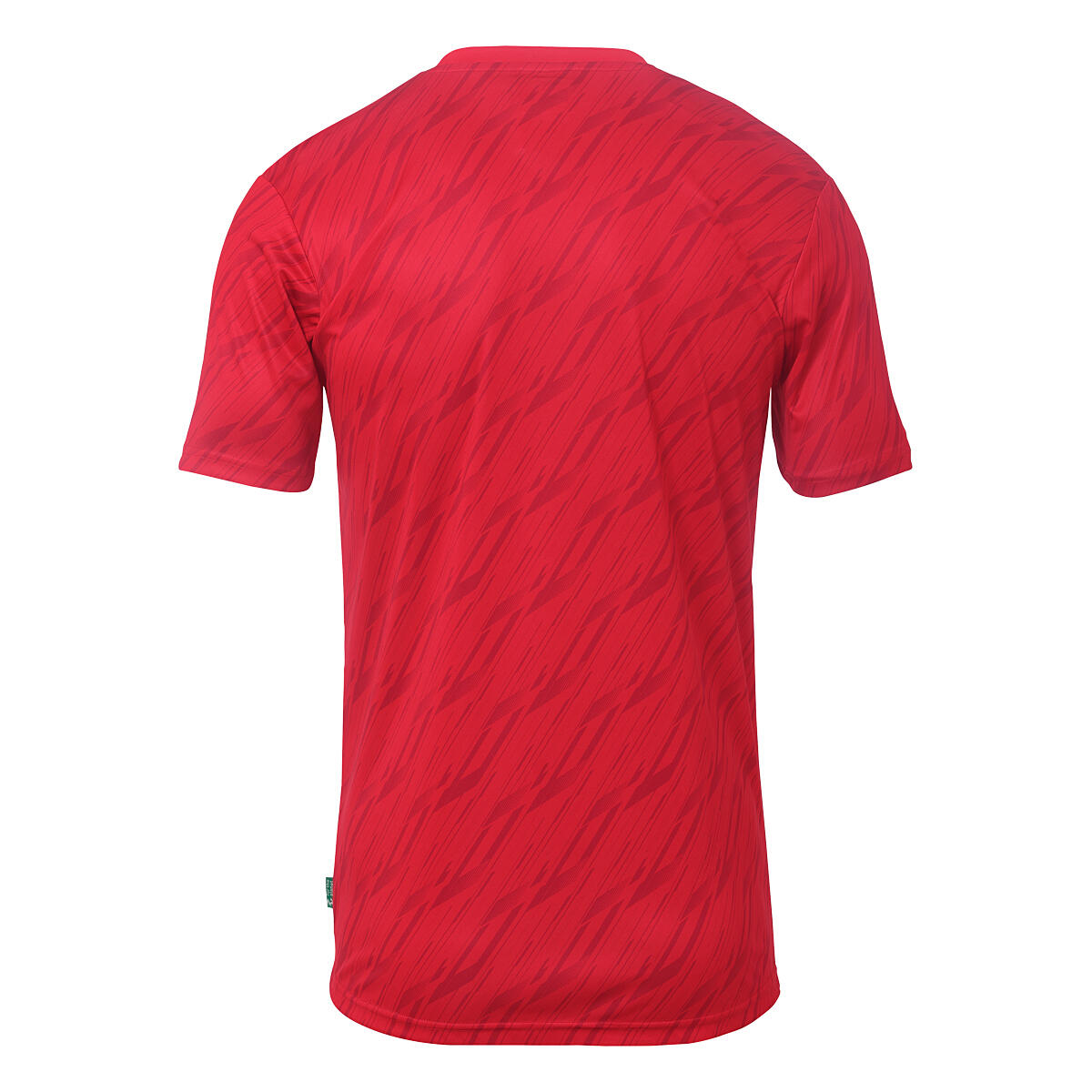 Camiseta de entrenamiento Progressive 28 UHLSPORT 2/4