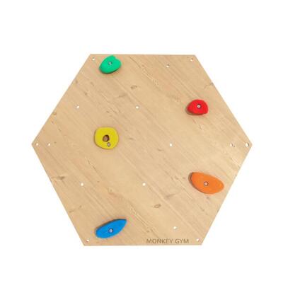 Bambini Ginnastica Parete Arrampicata Pannello Esagono Legno 1pz Prese Nero