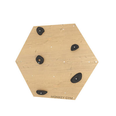Bambini Ginnastica Parete Arrampicata Pannello Esagono Legno 1pz Prese Nero