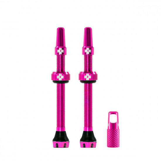 Tubeless V2 Ventiles Kit (Paar) 60 mm Rosa