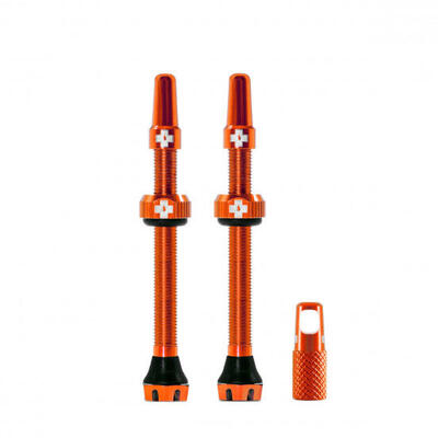 Tubeless v2 -kleppenkit (paar) 60 mm oranje