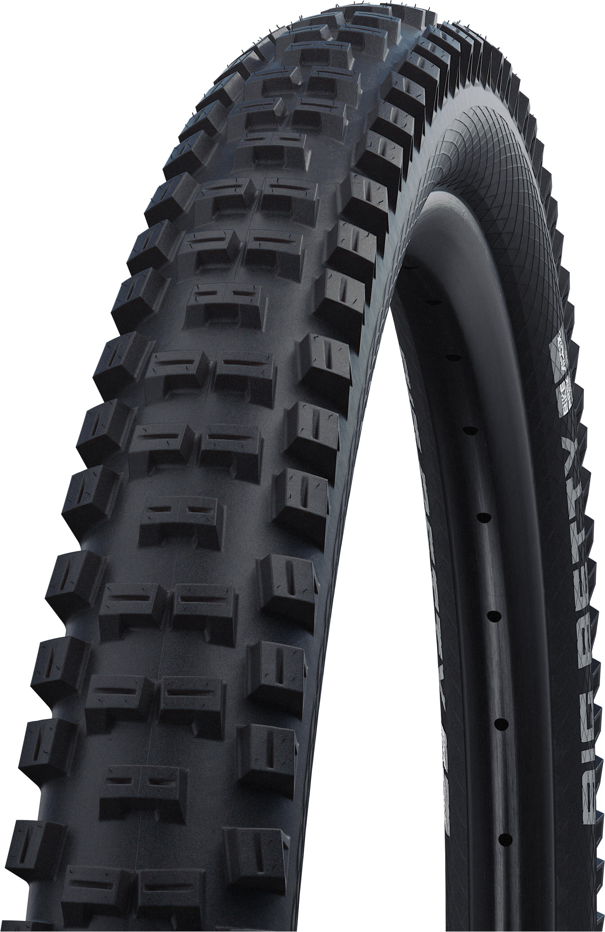 SCHWALBE Pneumatico bici MTB BIG BETTY - ADDIX Performance Line 26x2.4"62-559