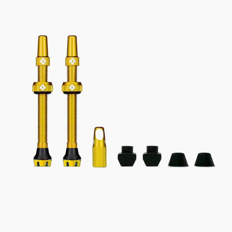Kit de valves tubeless V2 (paire) 60mm Red