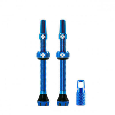 Kit di valvole V2 tubeless (coppia) 60mm blu