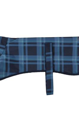 Wasserdichter Hundemantel. Atmungsaktiv & Verstellbar - Arlo. blau-grün