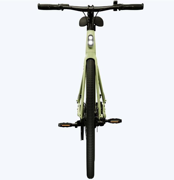 Elektro-Citybike E-Urban CGO600PRO l, grün 4/5