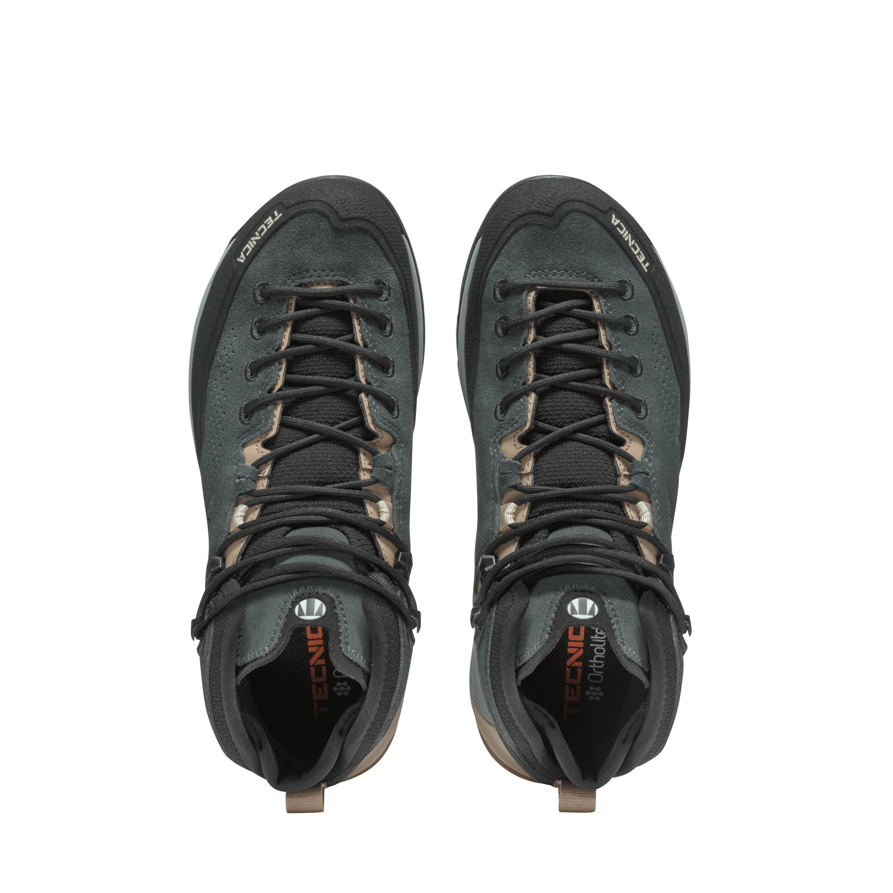 Dameswandelschoenen Tecnica Sulfur GTX 6/7