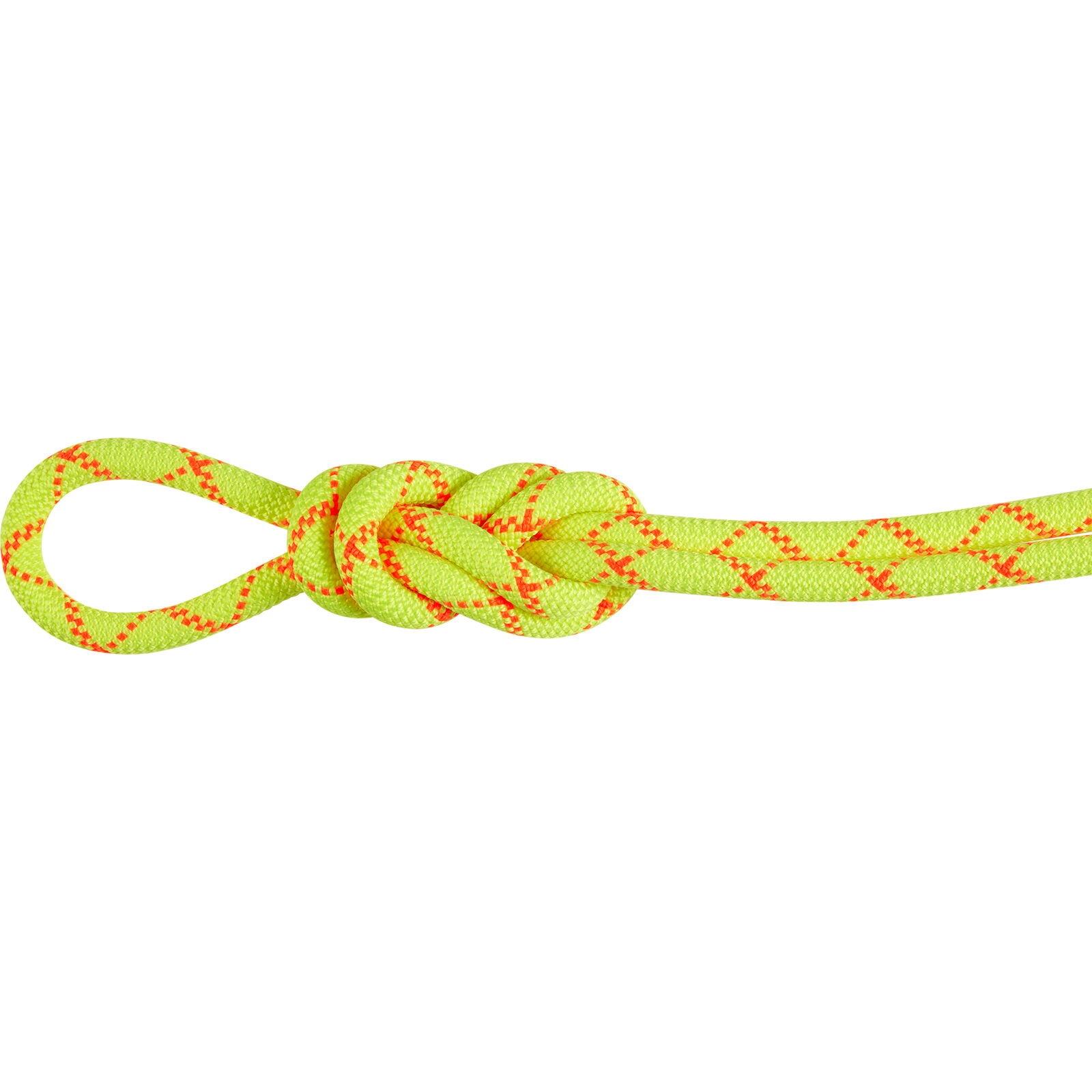 Cârlig simplu MAMMUT 9.5 Alpine Core Protect Dry Rope