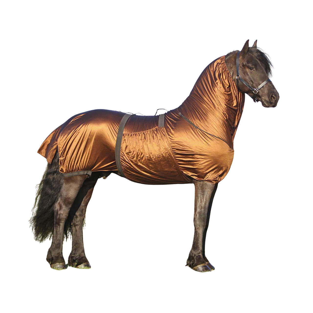 QHP Coperta antieczematosa per cavallo collo grande QHP