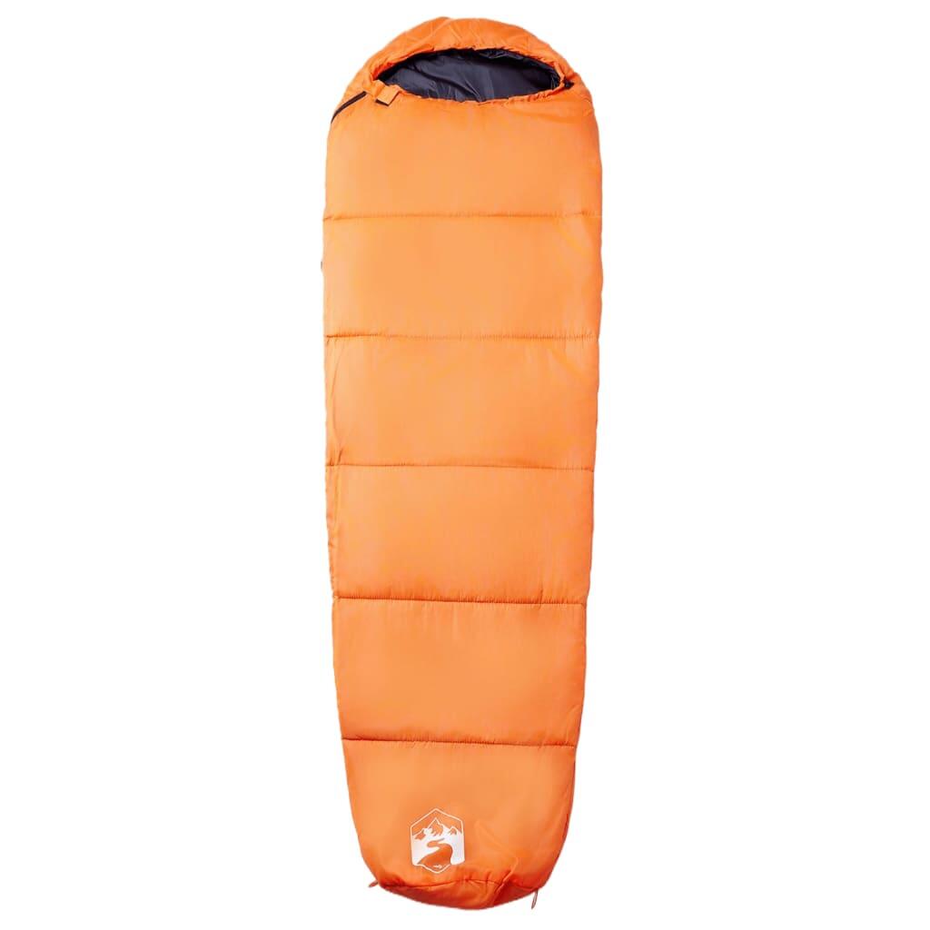 Vidaxl Sac de Couchage Momie pour Adultes - 3 Saisons Camping 2/6