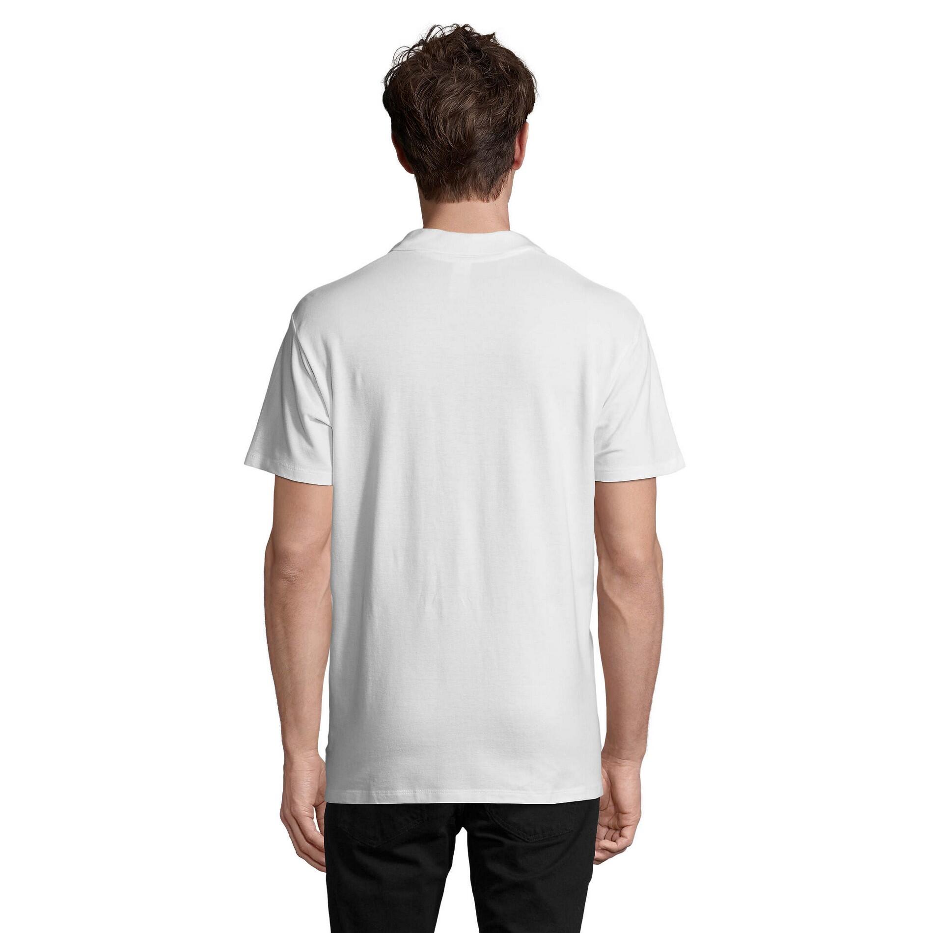 Polo SPRING Homme (Blanc) 2/4