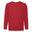 Hanorac Fruit Of The Loom Premium Copii
