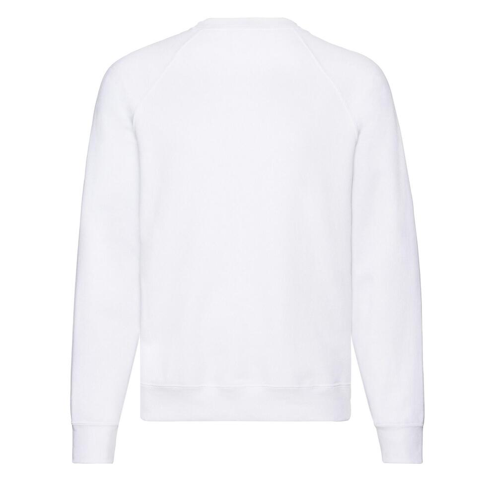 Bluza Unisex Adult Classic Plain Raglan