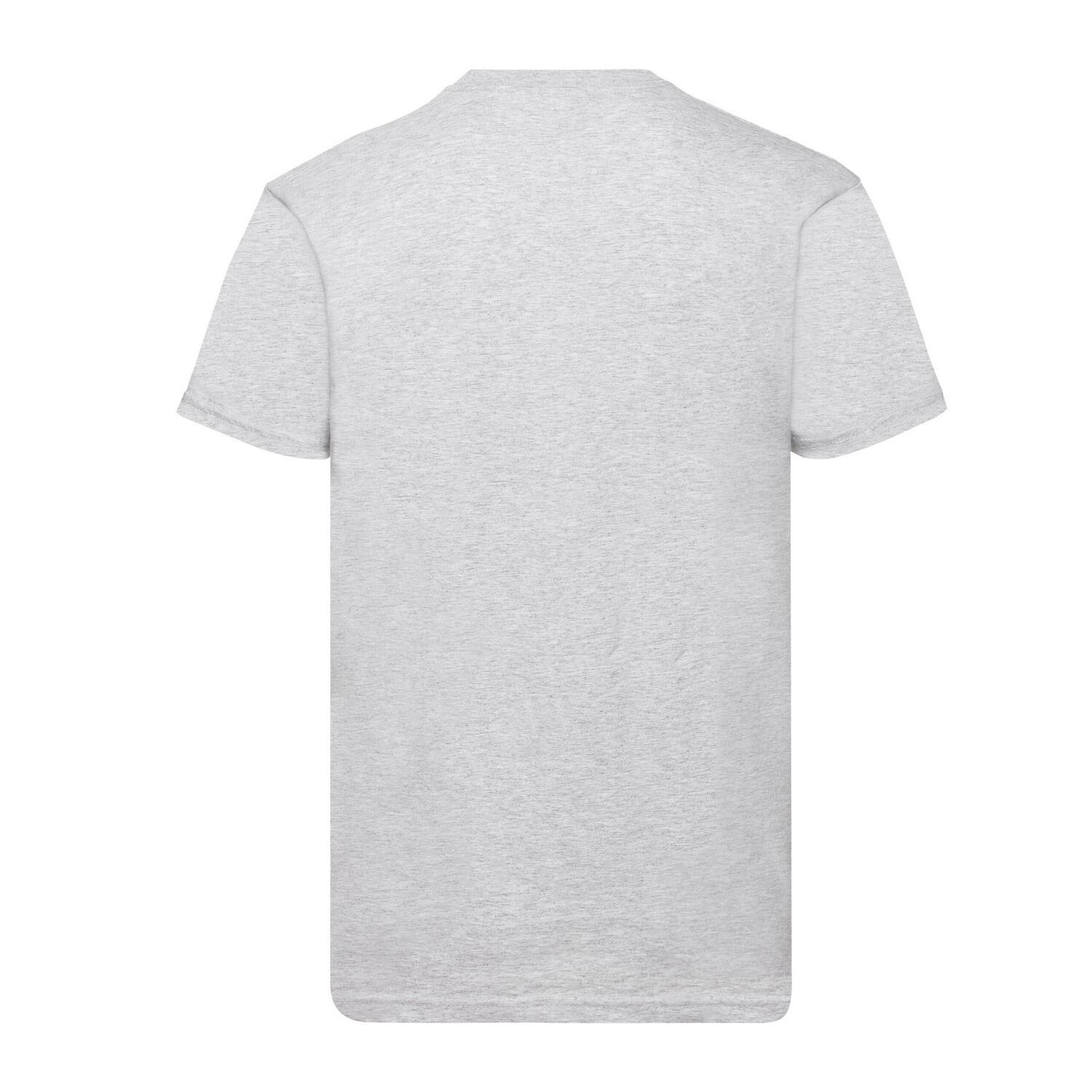 Tshirt VALUEWEIGHT Adulte (Gris) 2/3