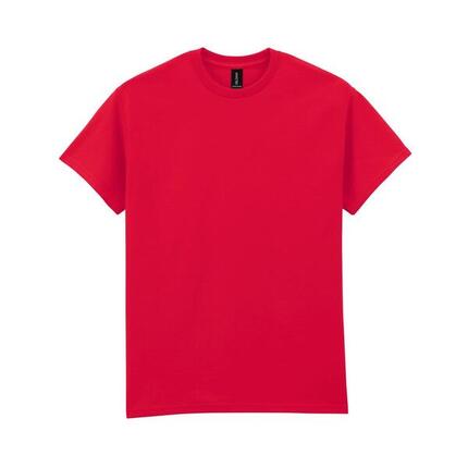 Tshirt Adulte (Gris Clair Pâle Uni)