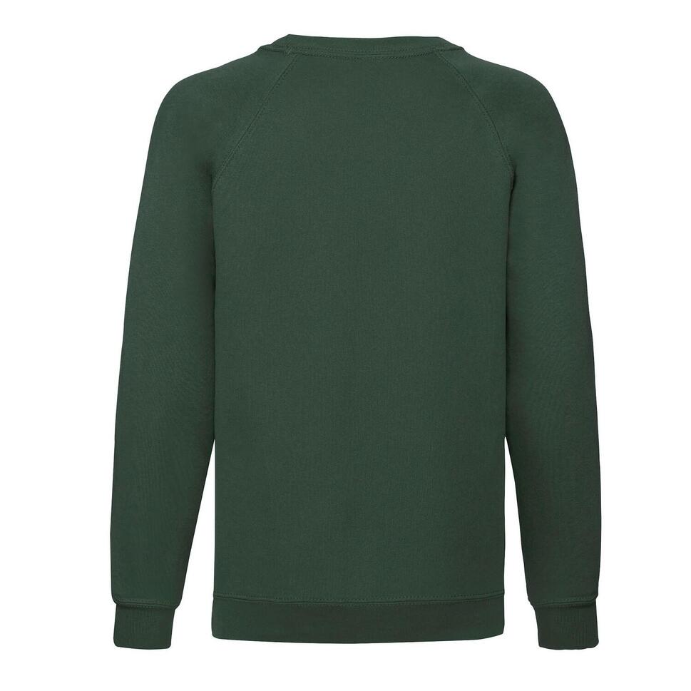 Bluza Dziecięca Classic Raglan