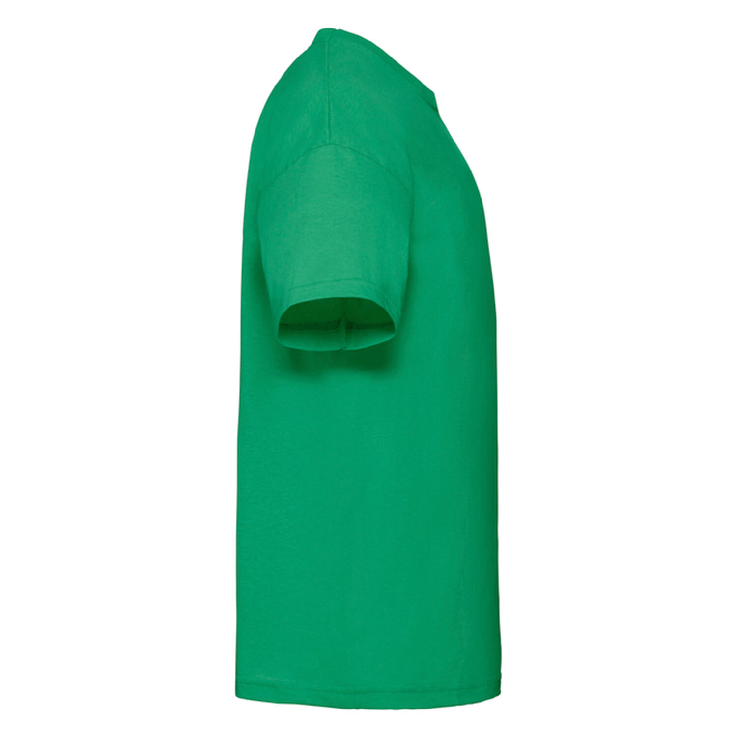 Tshirt VALUEWEIGHT Enfant (Vert Kelly) 3/3