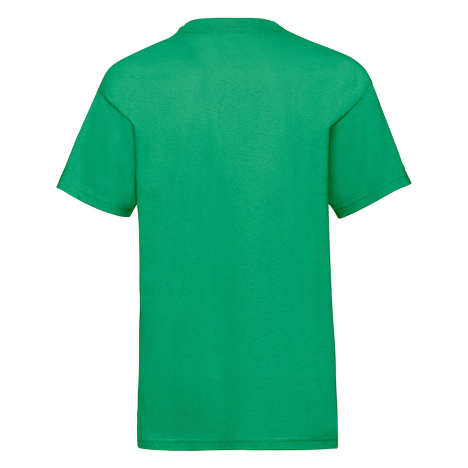 Tshirt VALUEWEIGHT Enfant (Vert Kelly) 2/3
