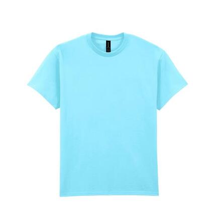 Tshirt Adulte (Gris Clair Pâle Uni)