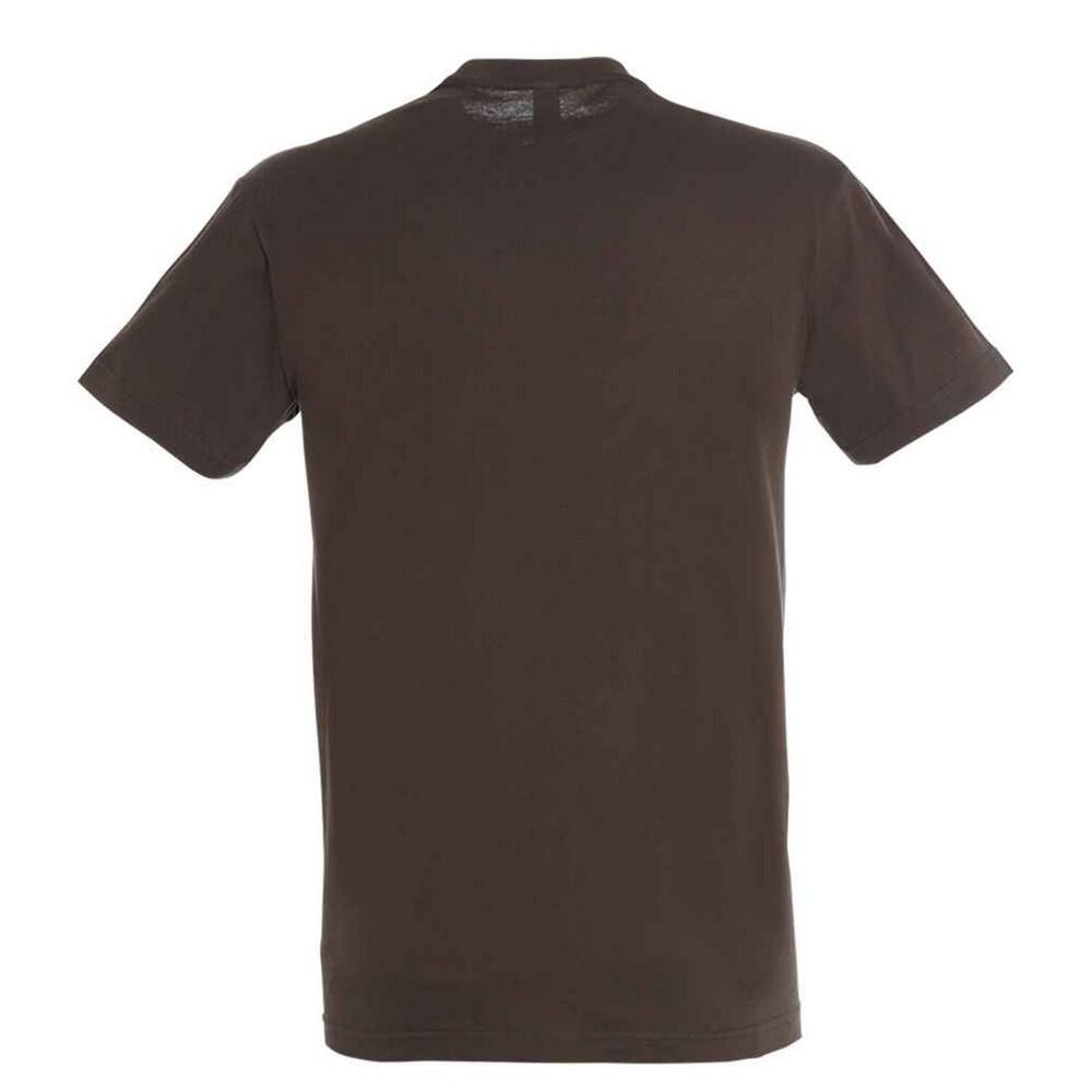 Tshirt REGENT Adulte (Chocolat) 2/4