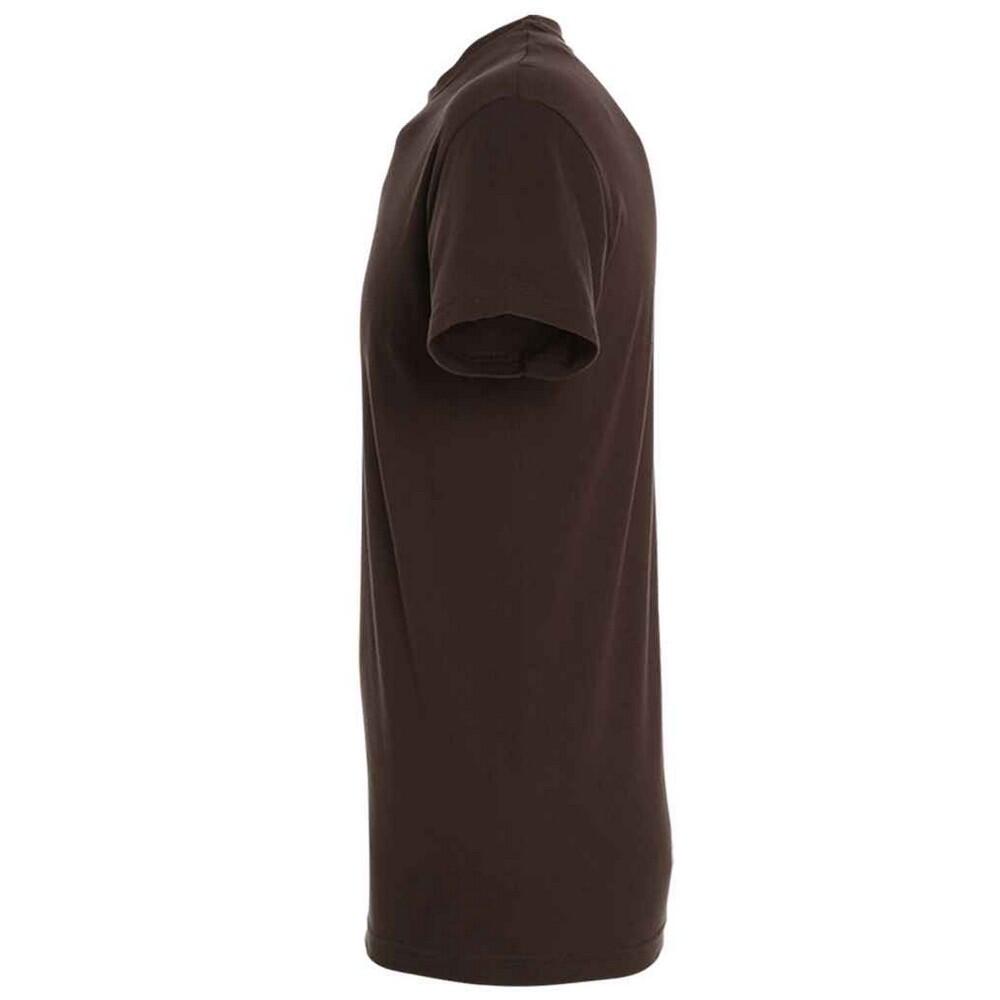 Tshirt REGENT Adulte (Chocolat) 3/4